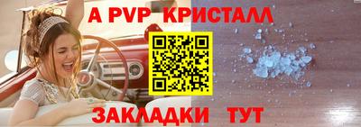 крисы Будённовск