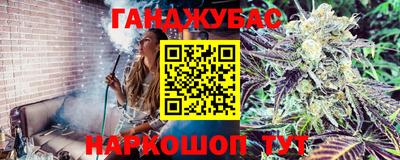 крисы Будённовск