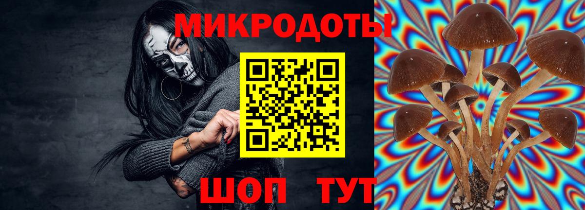 КОКАИН Советск